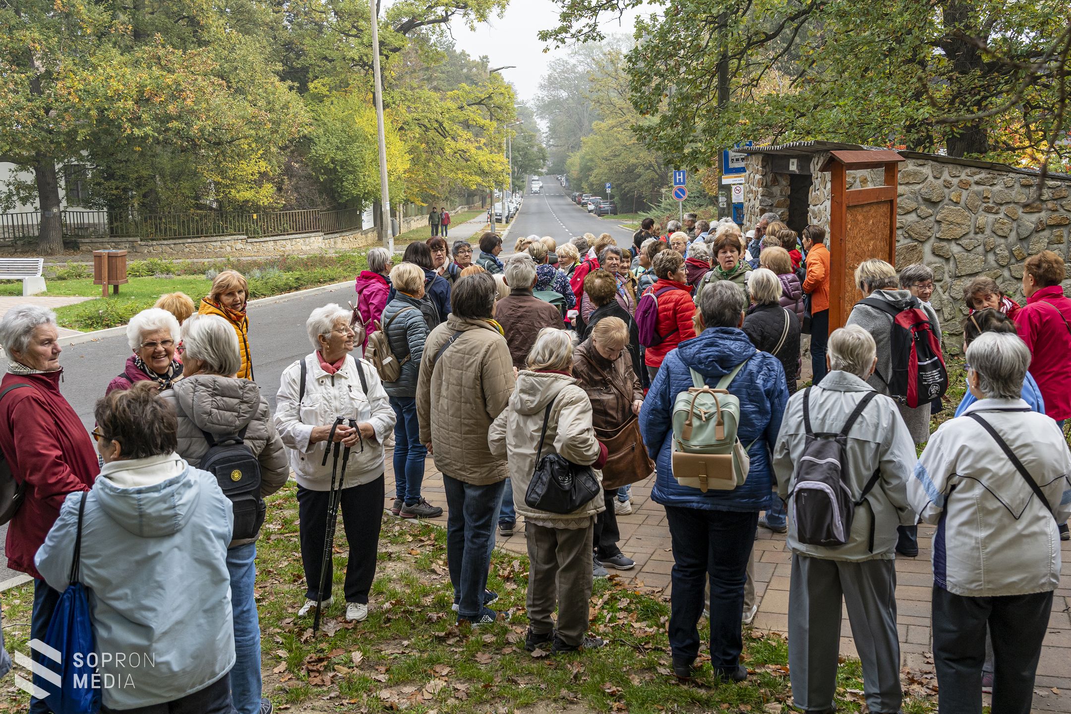 Idősek világnapja és szív világnapja – A jeles dátumok előtti tisztelgésként gyalogtúrát szerveztek a parkerdőben