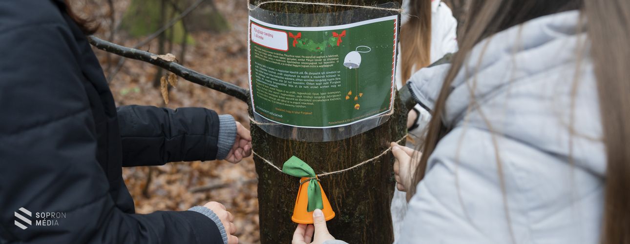 Ismét erdei manók és tündérek nyomába eredhetnek a soproni túrázók