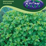 Szurokfű 0,5 g  (Oregano) termék képe