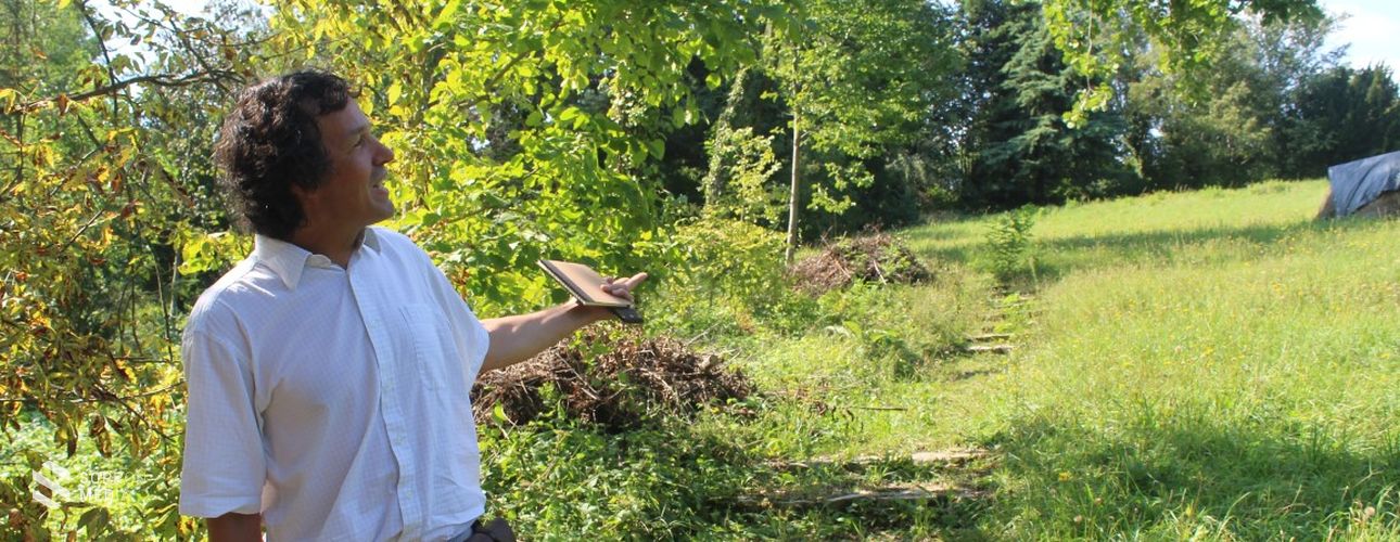 Megújul a Soproni Egyetem területén a Botanikus Kert