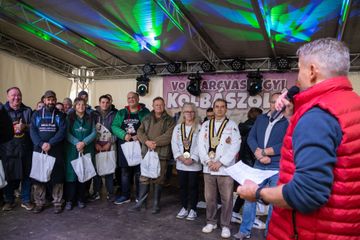 Vonyarcvashegy
