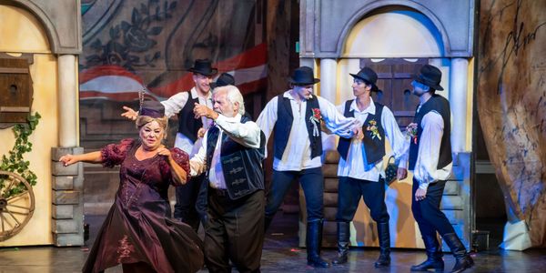 Sissi, a magyar királyné