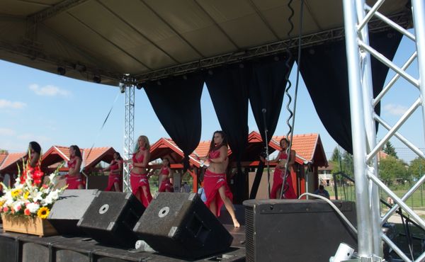 25. Falunap 2014. augusztus 9.