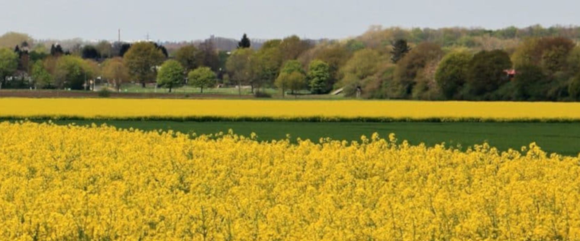 Agrofil-SZMI Kft.