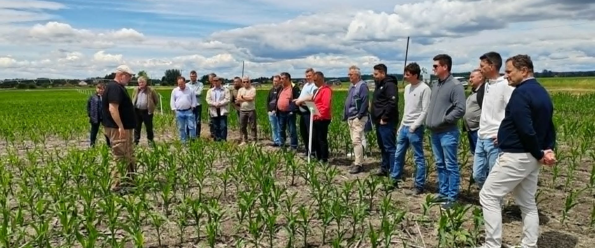 Agrofil-SZMI Kft.