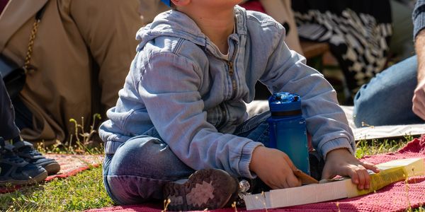 Itt szalad a nyulacska!