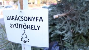 Ezeket a karácsonyfa gyűjtőhelyeket jelölte ki a Sopron Holding idén