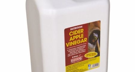 EQUIMINS CIDER APPLE VINEGAR-Almaecet 5L