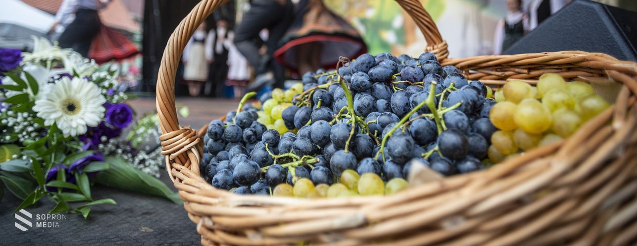 Együtt ünnepelhetünk a soproni borászokkal!
