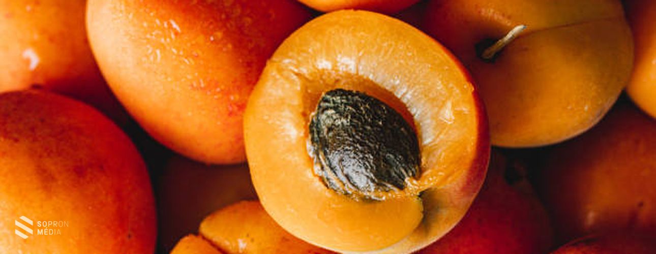 Miért fogyasszunk minél több sárgabarackot?