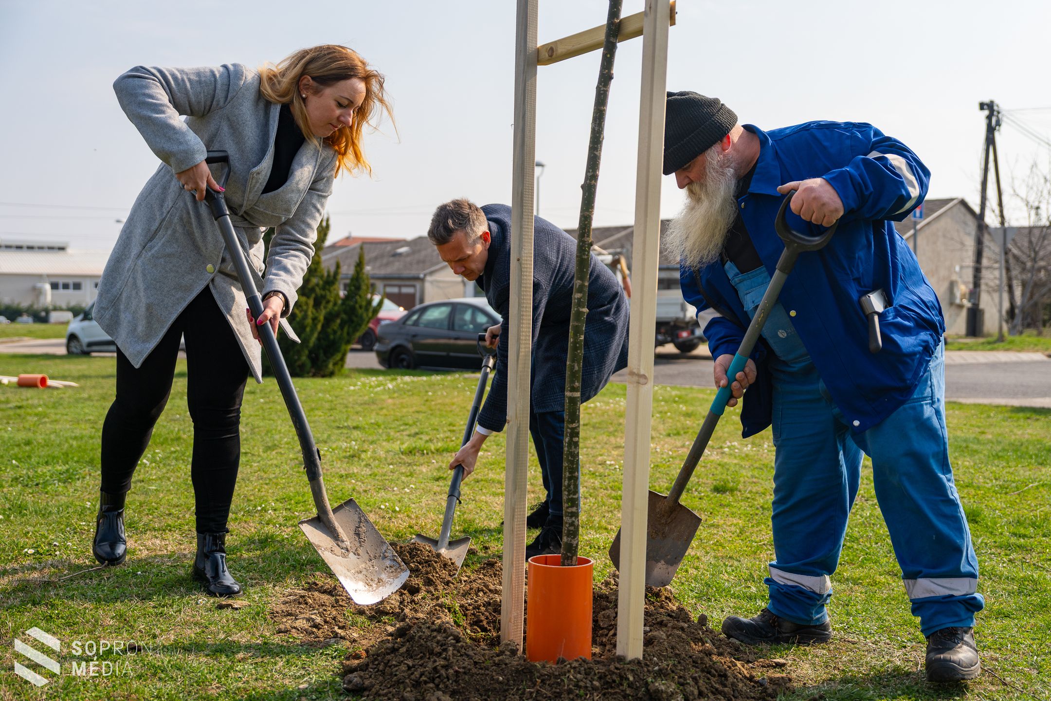 Faültetési program: 12 új fával gazdagodott a Kőszegi út