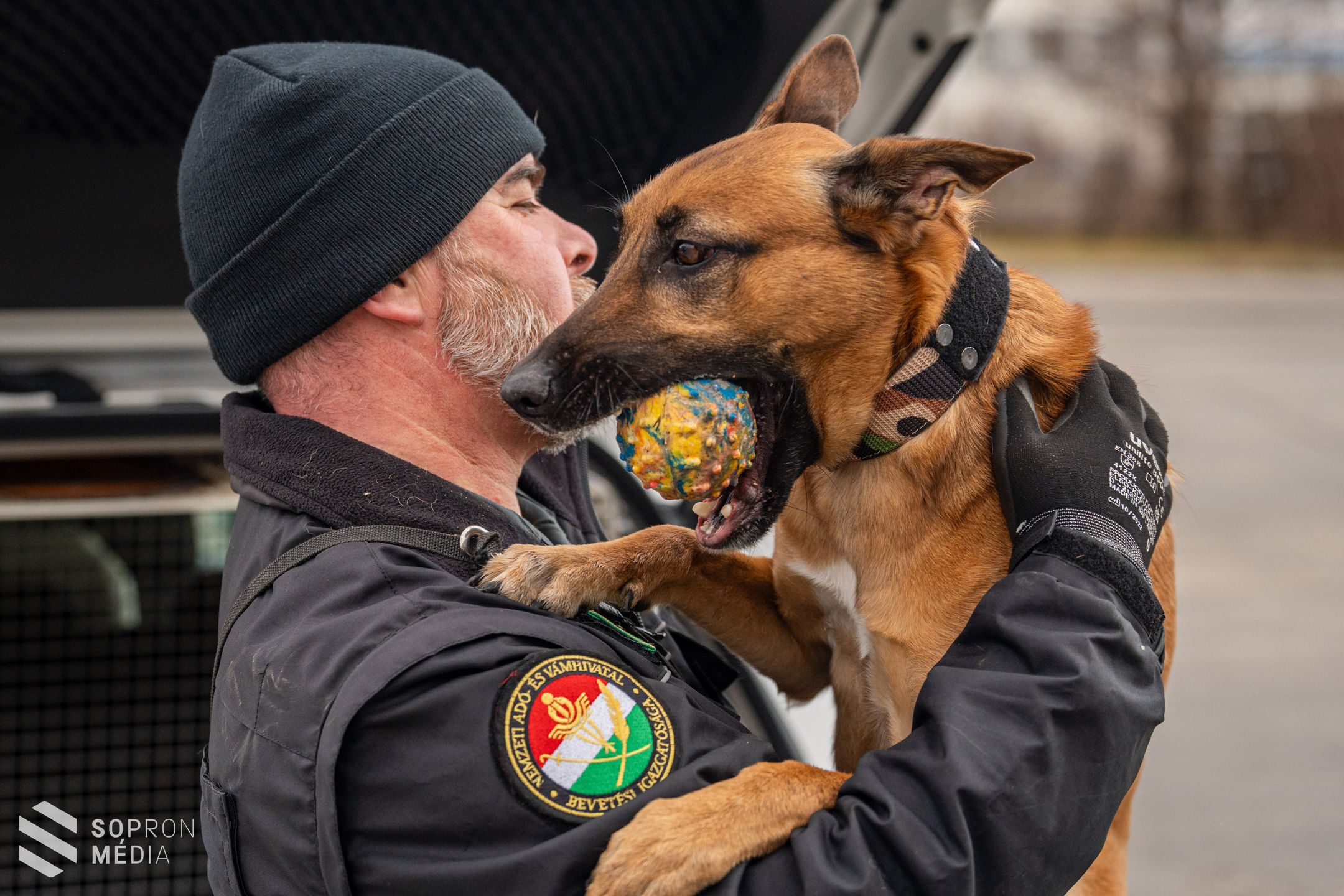 Az ember leghűségesebb társa a munkában is nagy segítség