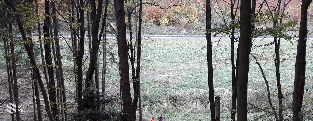 Figyelem - A Soproni-hegyvidék két területén is terelővadászatot tartanak szerdán