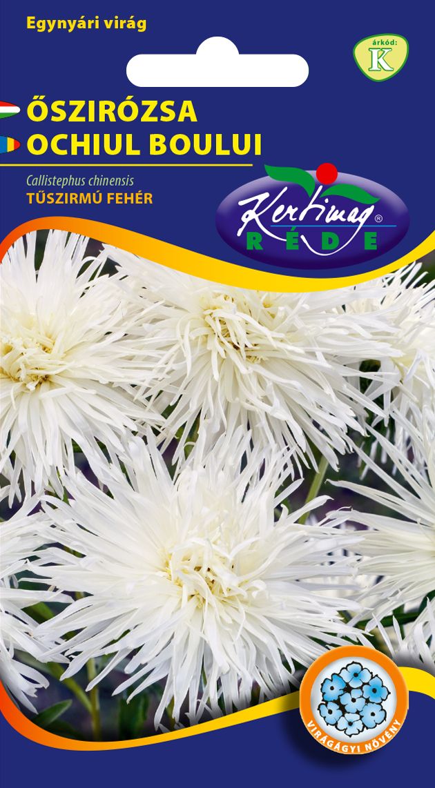 Őszirózsa Tűszirmú fehér 1 g termék képe