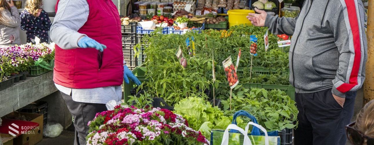 Fellendülőben van a soproni piac forgalma