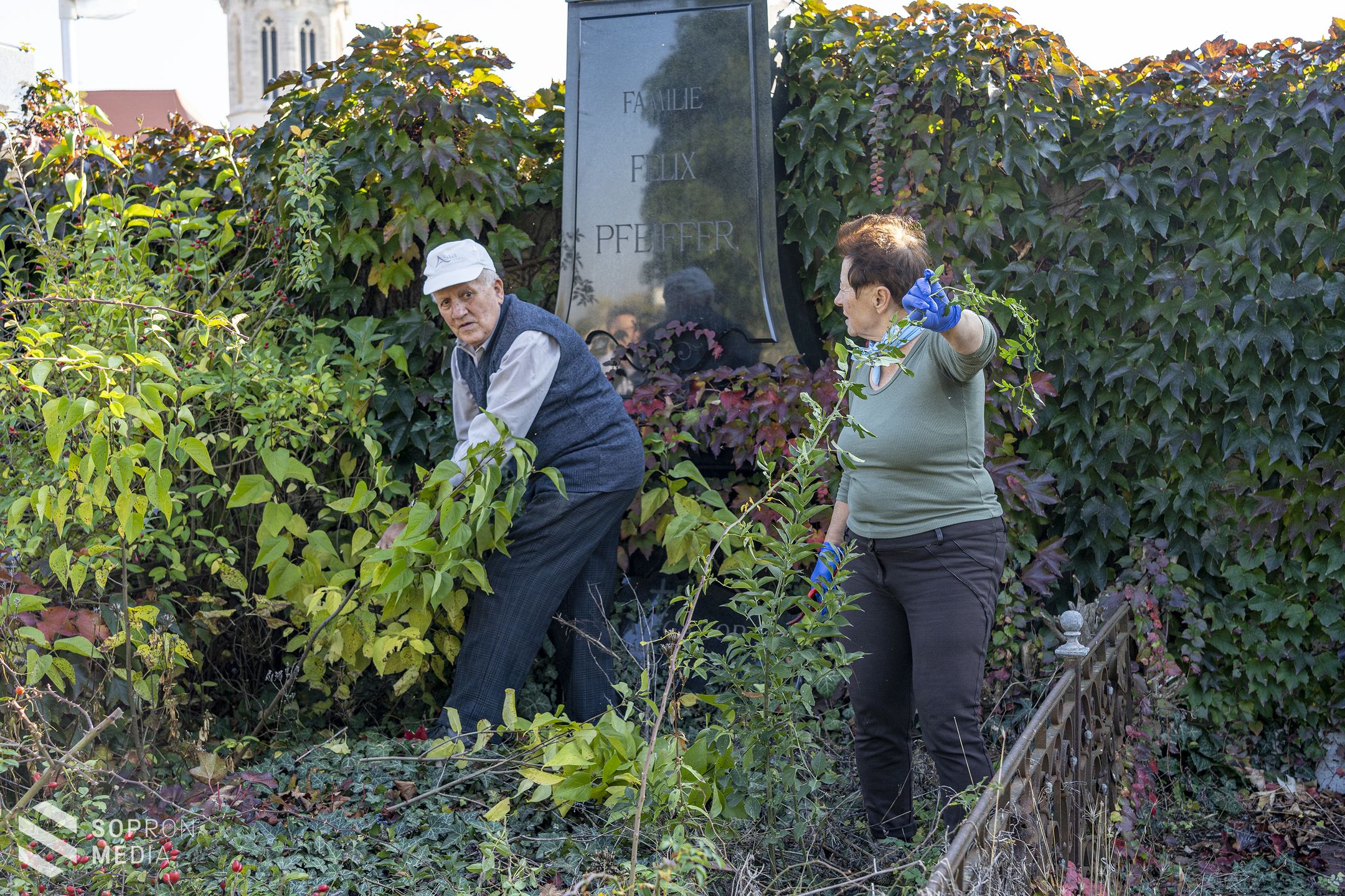Elhagyatott sírok szépülnek Sopronban
