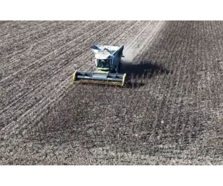 Határszemle Halásziban XII.rész