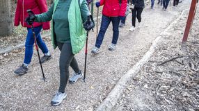 Ötödik éve működik a Soproni Gyalogló Idős Klub