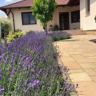 "BeLAKva" Veszkényben