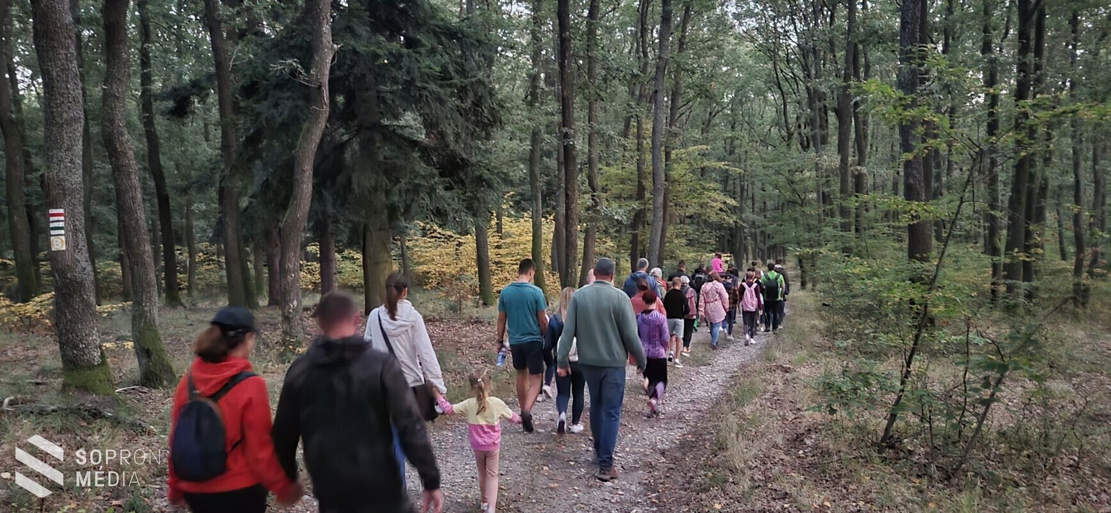 Szarvasbőgés túrákat tartottak a Muckon