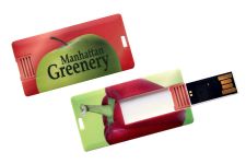 Vichy hitelkártya pendrive 