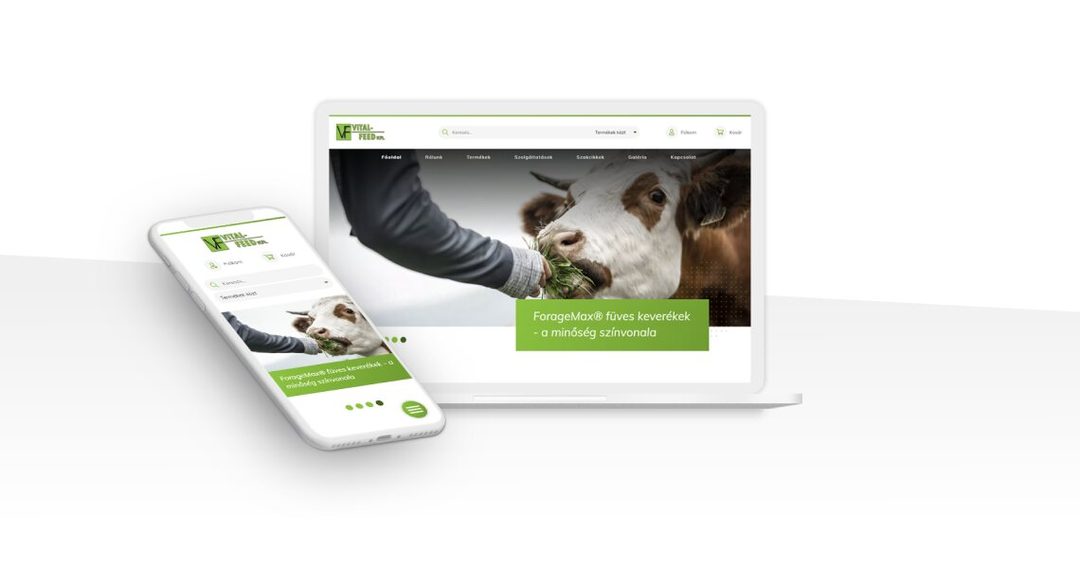 Az együttműködés csúcsa: egyedi webshop 76 munkanap alatt