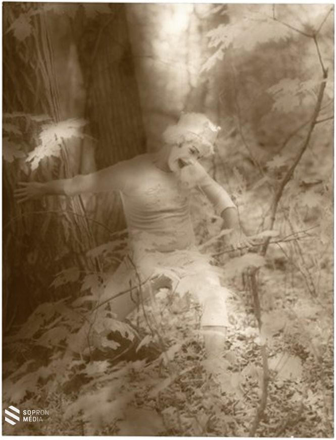 A fából faragott királyfi az erdőben - Gink Károly látomása Bartók zenéje alapján. 1975. (Bartók - A fából faragott királyfi nyomán)