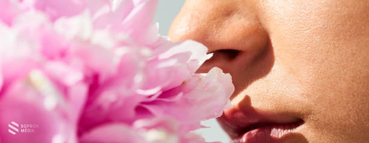 Az illatok mágikus ereje