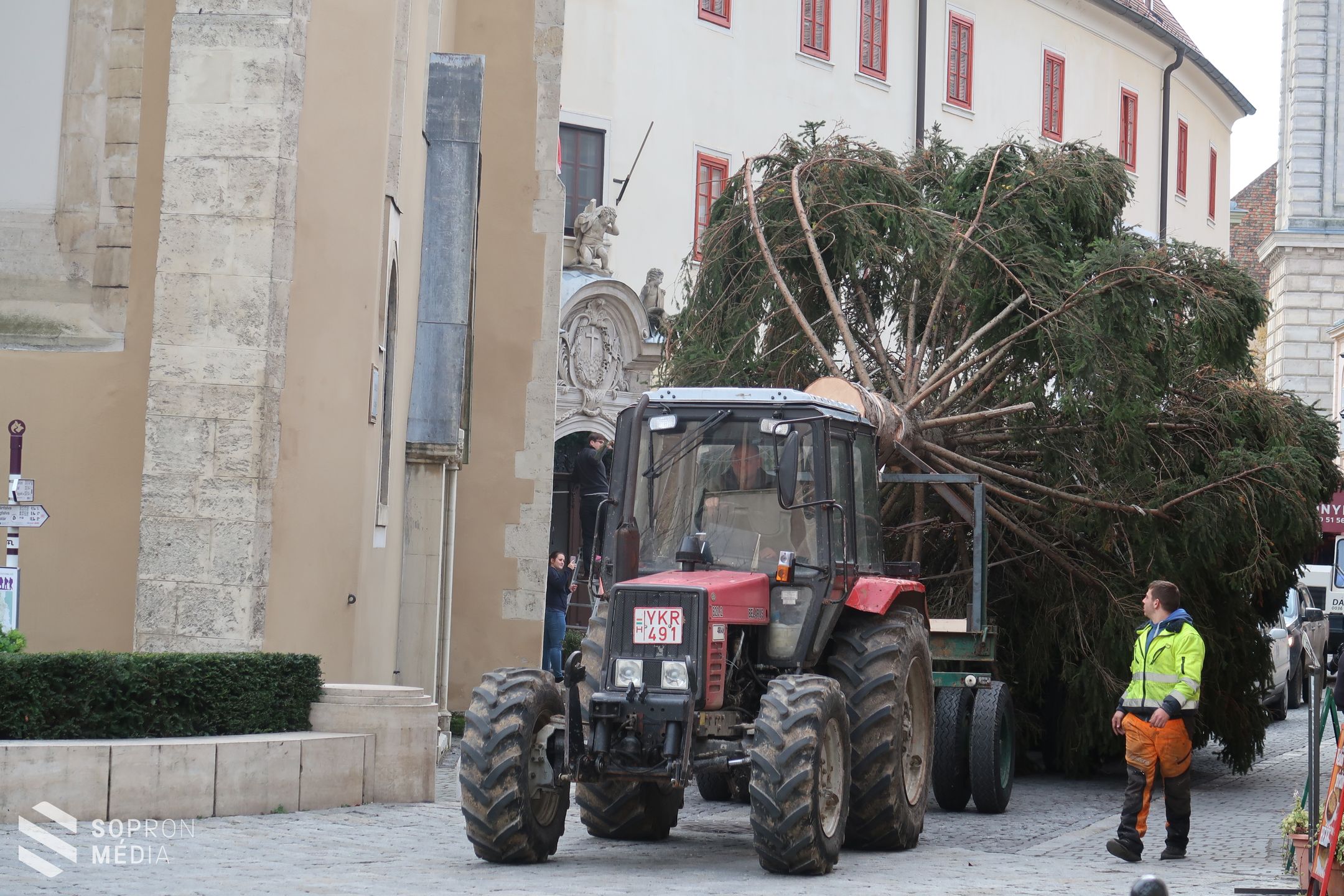 Megérkezett a város karácsonyfája