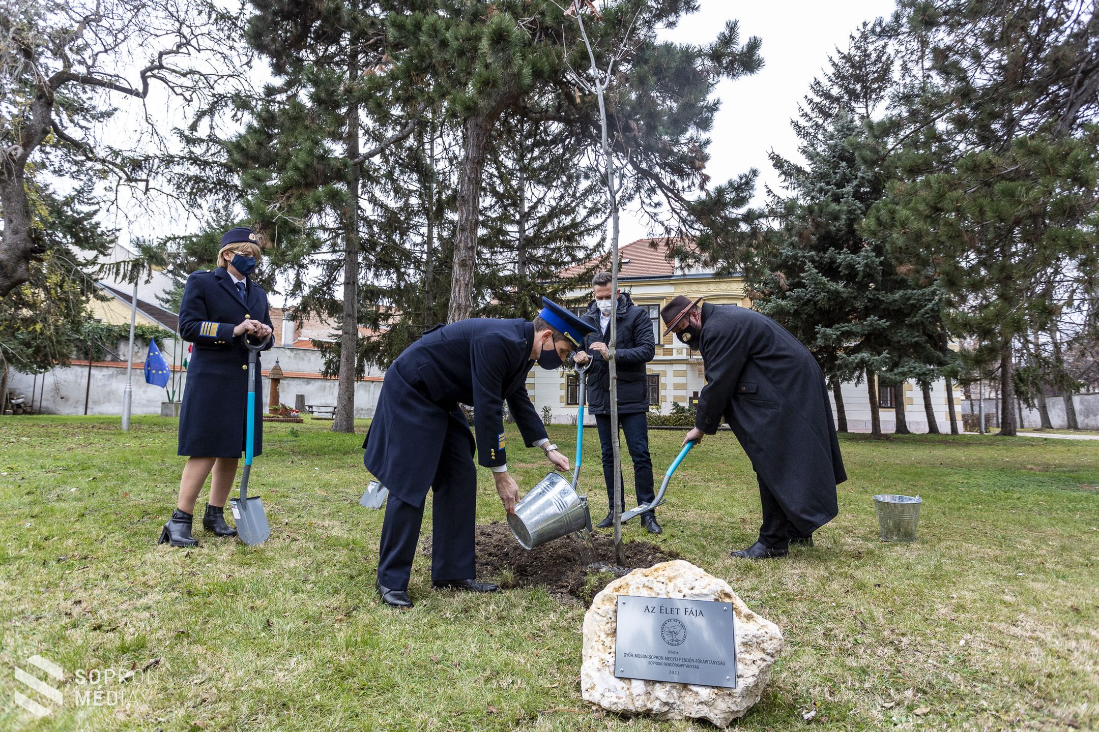 Az élet fáját ültették el Sopronban!