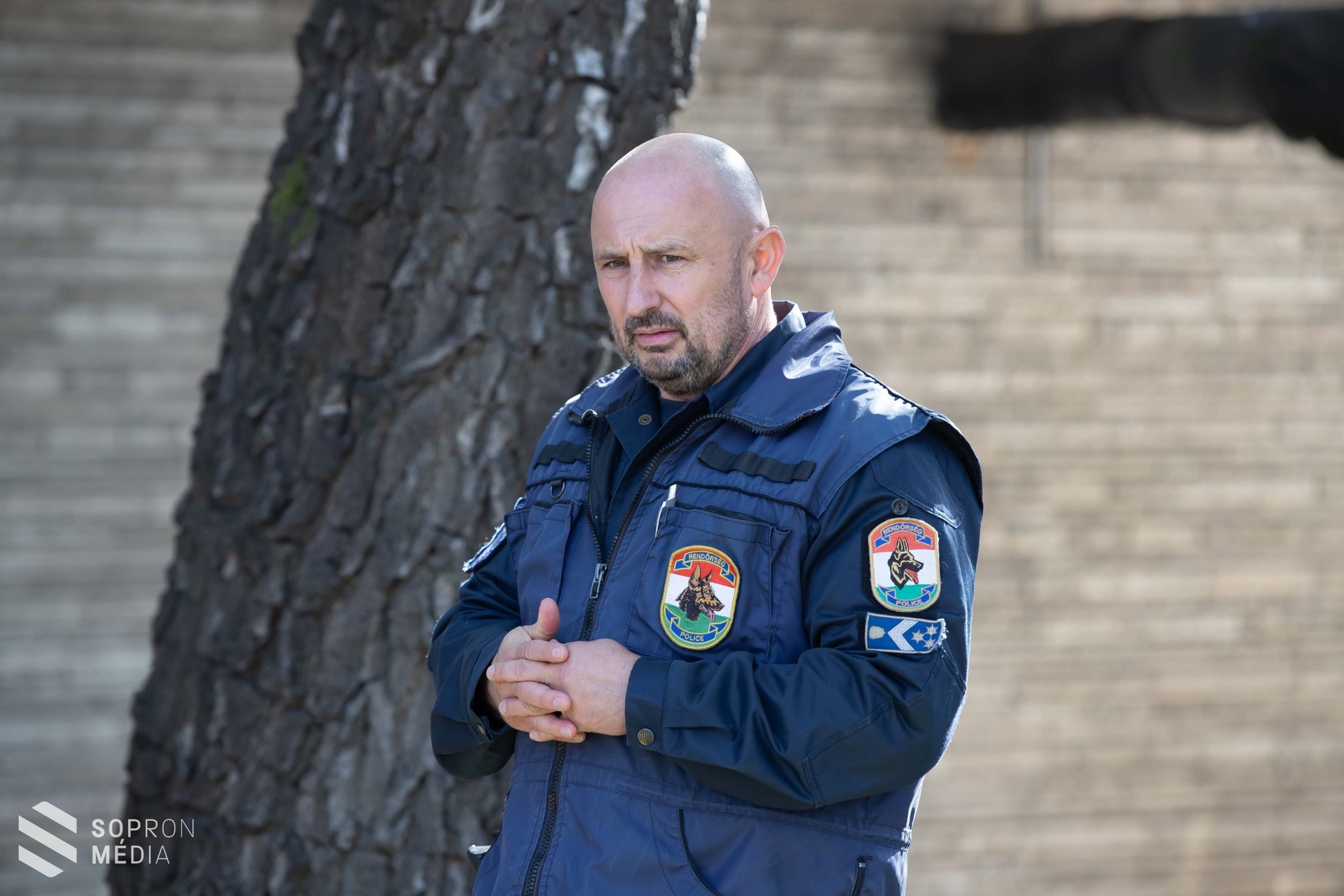 Zsaru és a kutyája: harcedzett életmentők