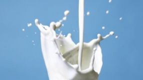 Visszahívta a Metro Kereskedelmi Kft. az ARO UHT tej terméket 