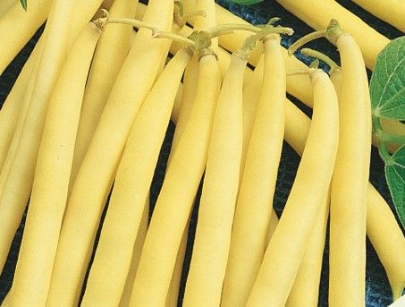 Bokorbab Sárgahüvelyű DIOR 1 kg-os termék képe