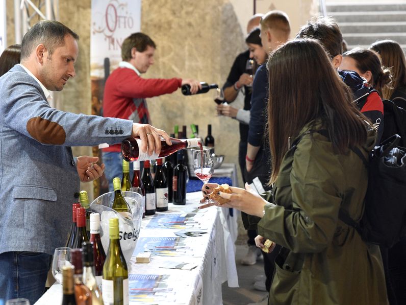 Poncichter Piknik - a Soproni borvidék népszerűsítése a Balek-héten