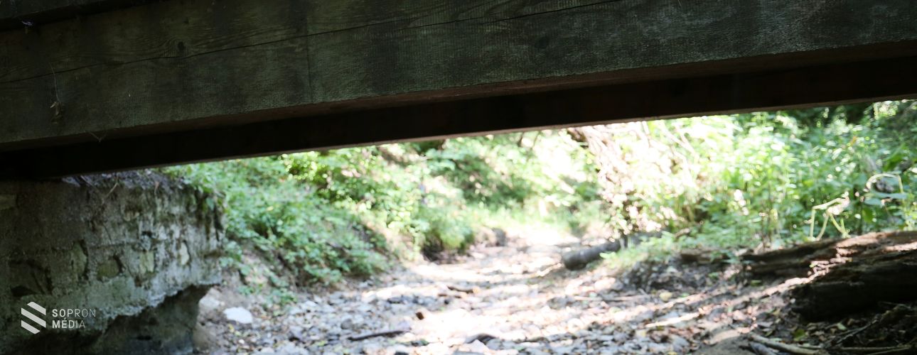 A májusi eső csak tűzoltásra volt jó, az aszály nem múlt el