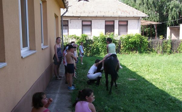 Napközis Tábor 2013