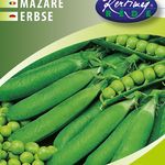 Zöldborsó Rajnai törpe 200 g termék képe