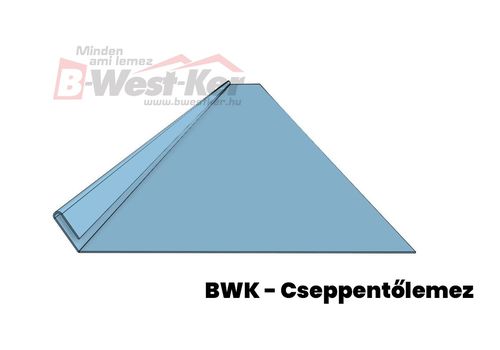 BWK - Tropfblech 2 m lang.