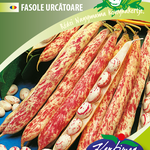 Karósbab Lingua di Fouco 2 50g termék képe