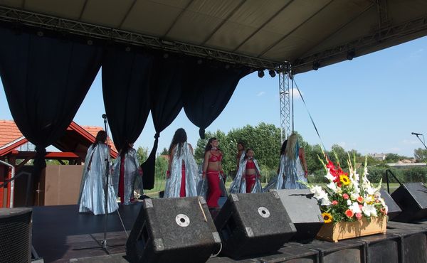 25. Falunap 2014. augusztus 9.