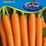 Sárgarépa Nanti 2  50 g termék képe