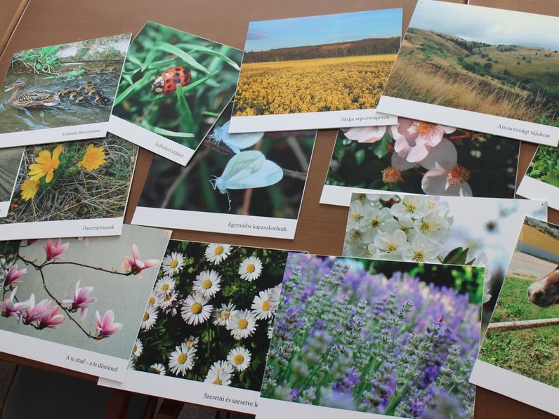 Természetfotók a gyógyulás szolgálatában