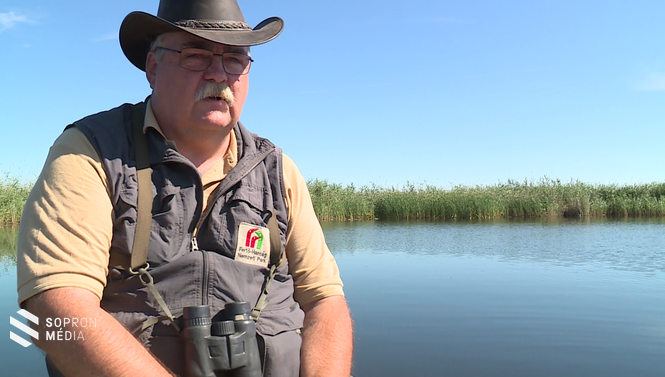 Pellinger Attila, a Fertő-Hanság Nemzeti Park természetmegőrzési osztályvezetője