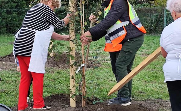 I. KÓNYI CIVIL NAP, 2025. október 11.