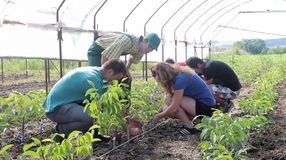 Folyamatosan nő az érdeklődés az agrárszakképzés iránt