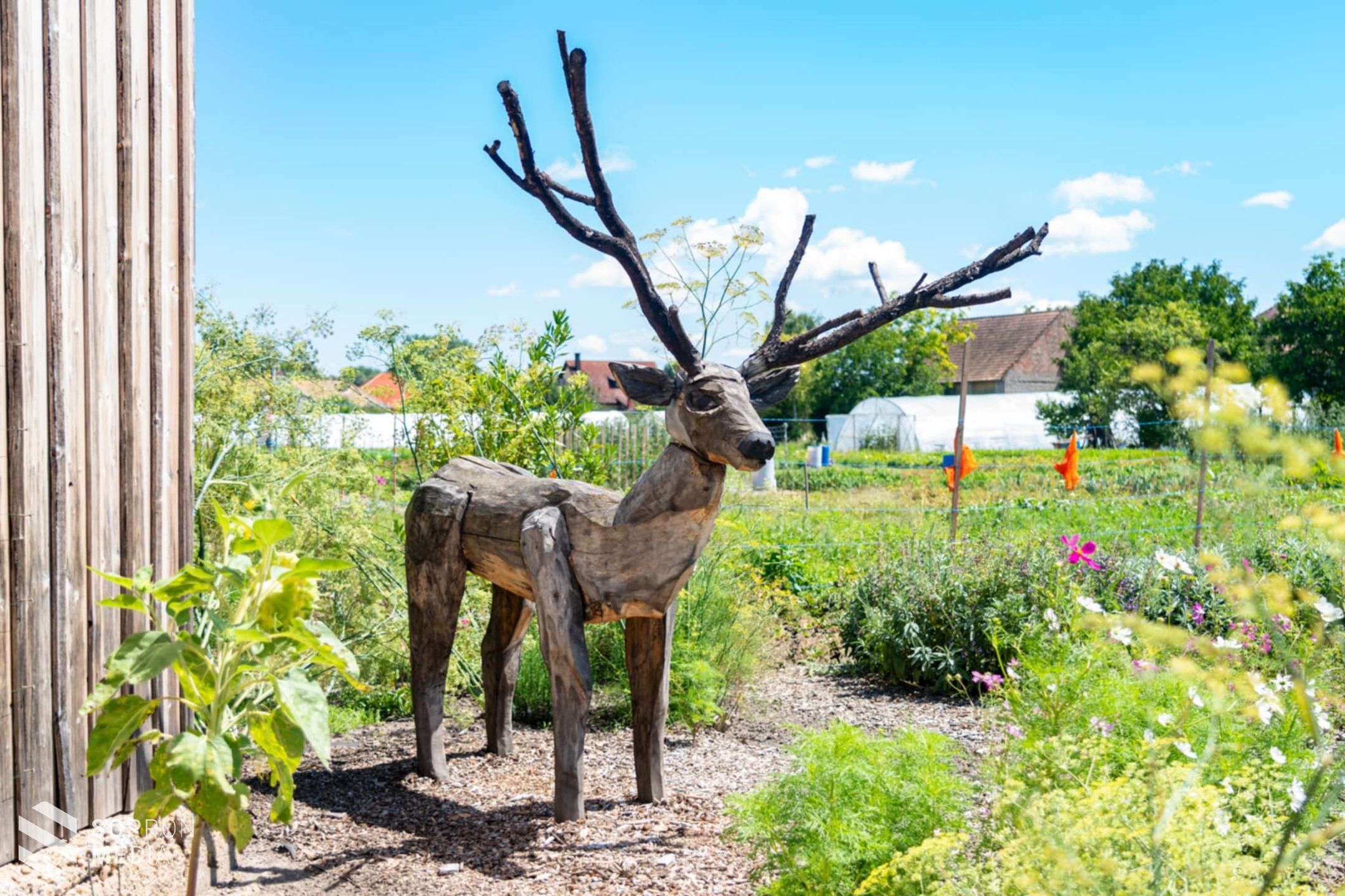 Tudták, hogy közel 250 eredeti höveji csipke található a Hegykői Csipkeházban?