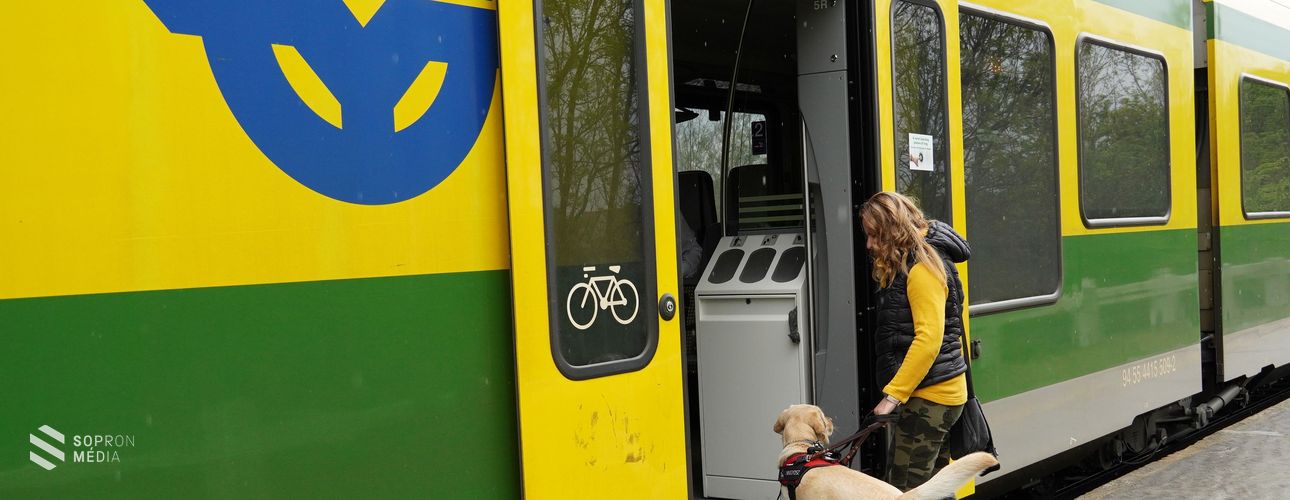 Sikeres közlekedésbiztonsági vizsgát tett Pálmai-Matis Mónika és Mézi, a vakvezető kutyája