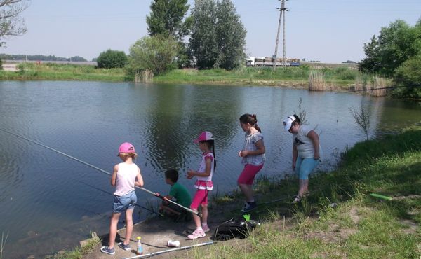 Napközis Tábor 2013