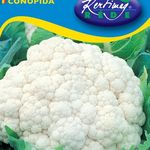 Karfiol Delta (őszi) 1 g termék képe