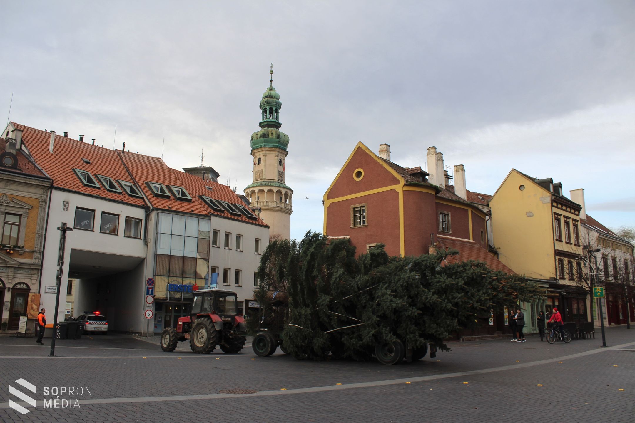 Megérkezett a város fenyőfája